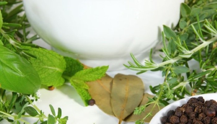 5 herbes aromatiques pour les purées de bébé 🌿 - Cuisinez pour bébé