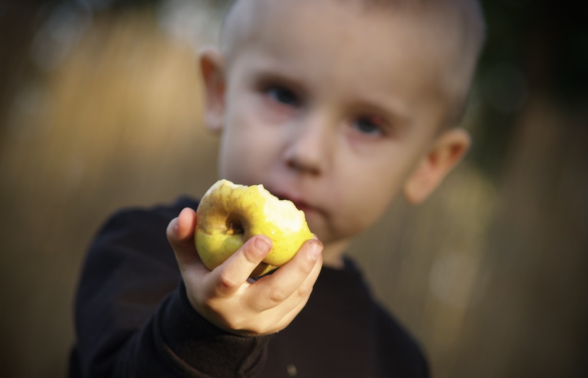 Astuce pour faire manger des fruits à mon enfant Astuce pour faire manger des fruits à mon enfant