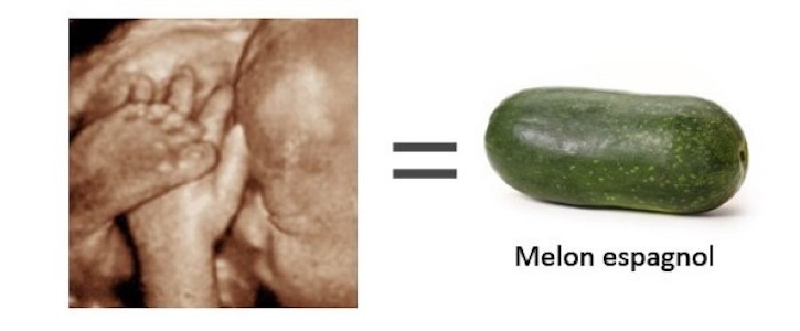 Grossesse - Semaine 37 de grossesse