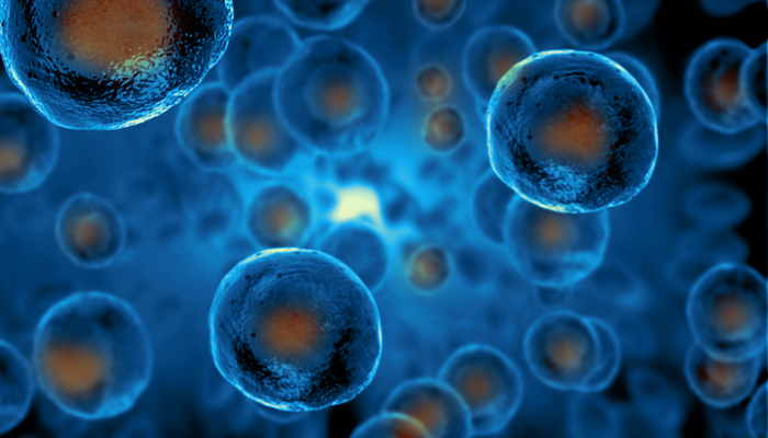 Homme qui touche le ventre de la femme enceinte Homme qui touche le ventre de la femme enceinte