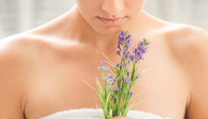 Propriétés de la lavande