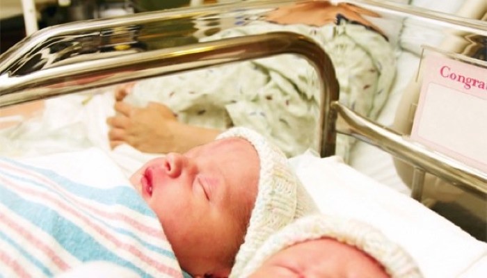 bébé siamois après une séparation