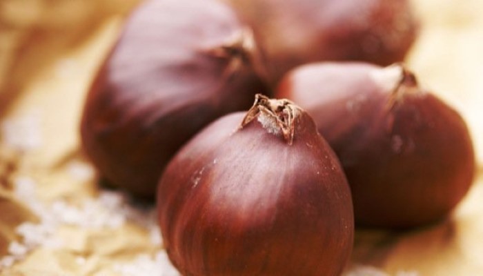 Les châtaignes en automne