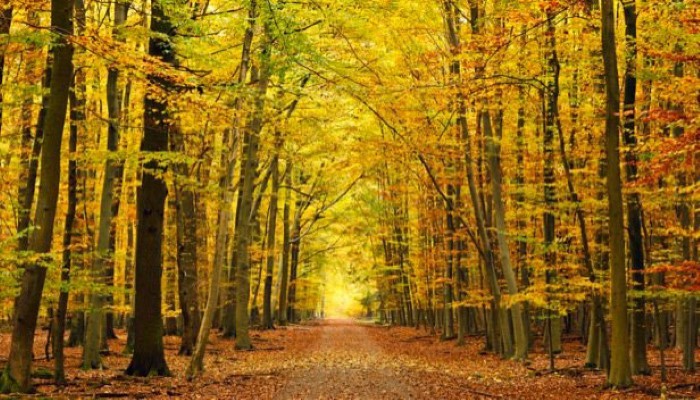 Vivre avec la peur de vivre Vivre avec la peur de vivre