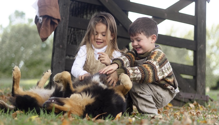 Que faire si mon enfant a été mordu ? Que faire si mon enfant a été mordu ?
