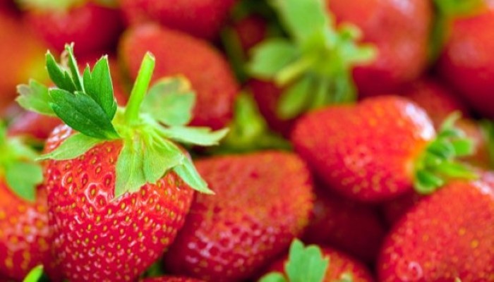 Découvrez les bienfaits des fraises