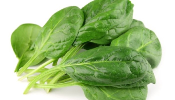 Les épinards sont riches en acide folique Les épinards sont riches en acide folique