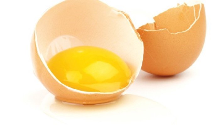 Jaune d'œuf dans sa coquille Jaune d'œuf dans sa coquille