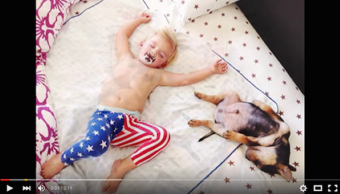 Beau et son chiot Theo