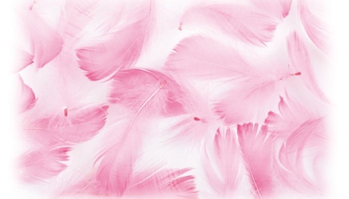 Fête de la saint Valentin Fête de la saint Valentin