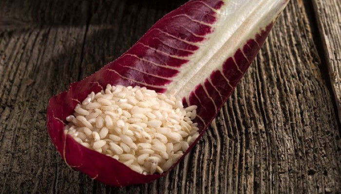 Risotto à la chicorée rouge
