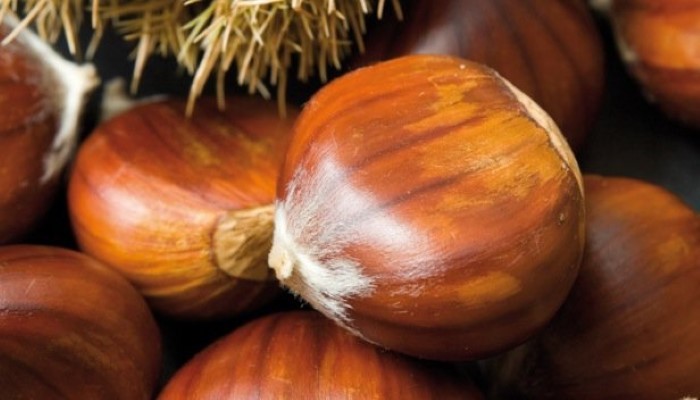 Gâteau aux marrons, au miel et aux amandes