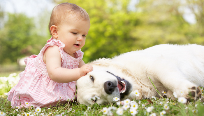 Bébé qui joue avec un chien