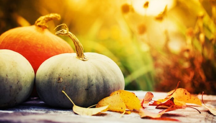 Légumes d'automne Légumes d'automne