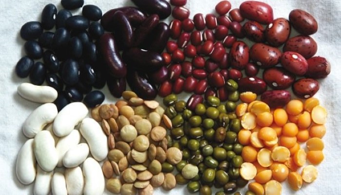 Les légumes secs pour les enfants