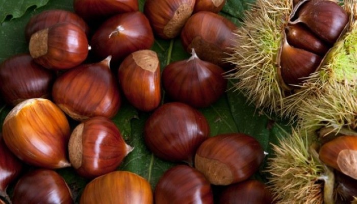 Châtaignes Châtaignes