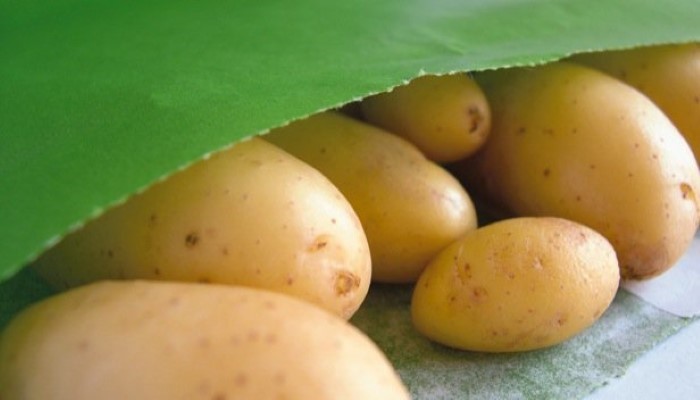 Chenille en pommes de terre