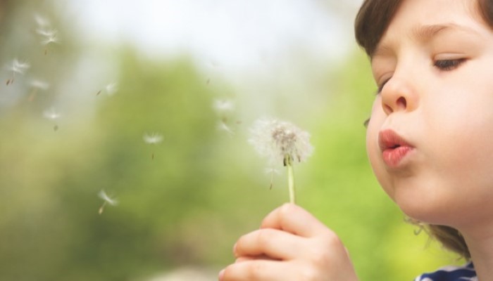 Petite fille qui souffle sur un pissenlit Petite fille qui souffle sur un pissenlit