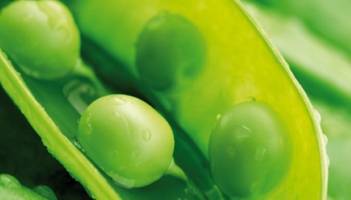 Salade de pommes de terre et de fèves