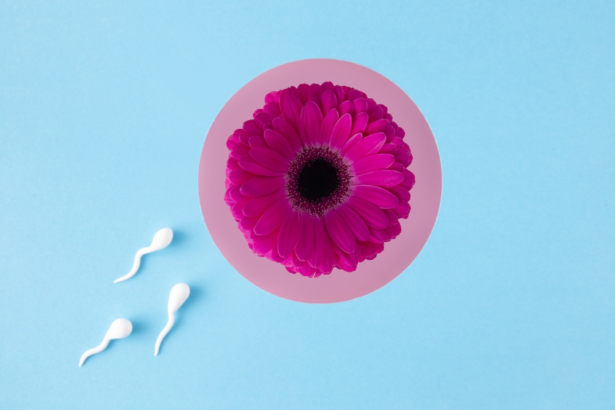 Couple qui regarde une échographie