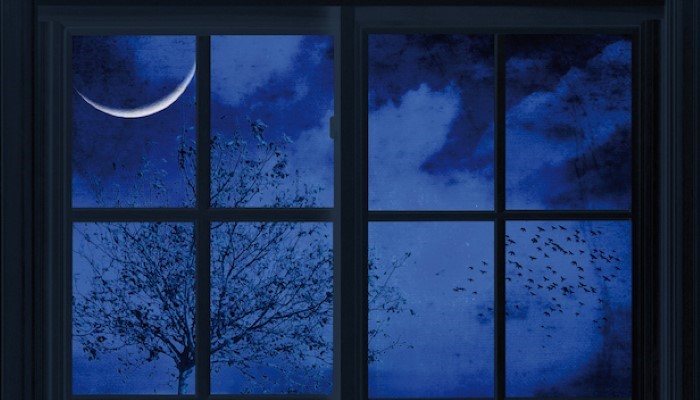 Calendrier lunaire 2017 Calendrier lunaire 2017