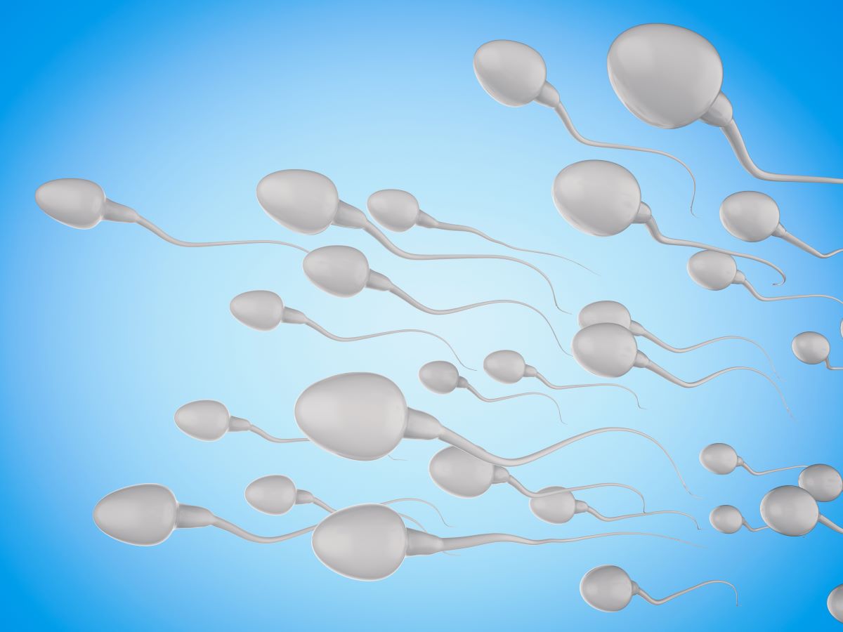 FIV et spermatozoïdes paresseux