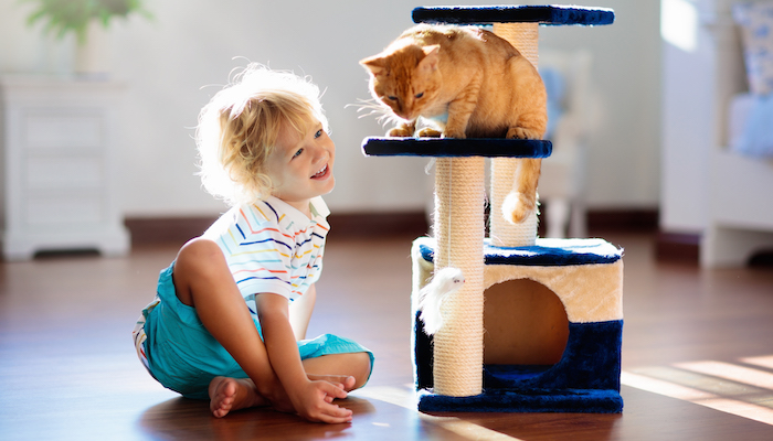 Allergie aux animaux domestiques