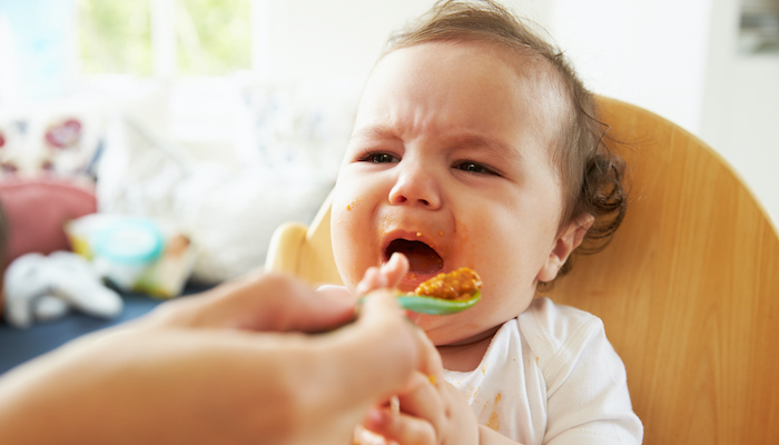 Mon bébé refuse de manger des purées