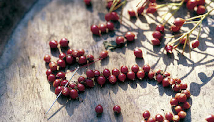 Activités manuelles écologiques pour enfants