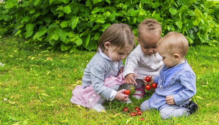 Fruits typiques de l'été