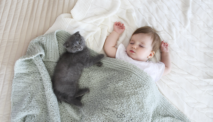 Dangers des jeux vidéos Dangers des jeux vidéos