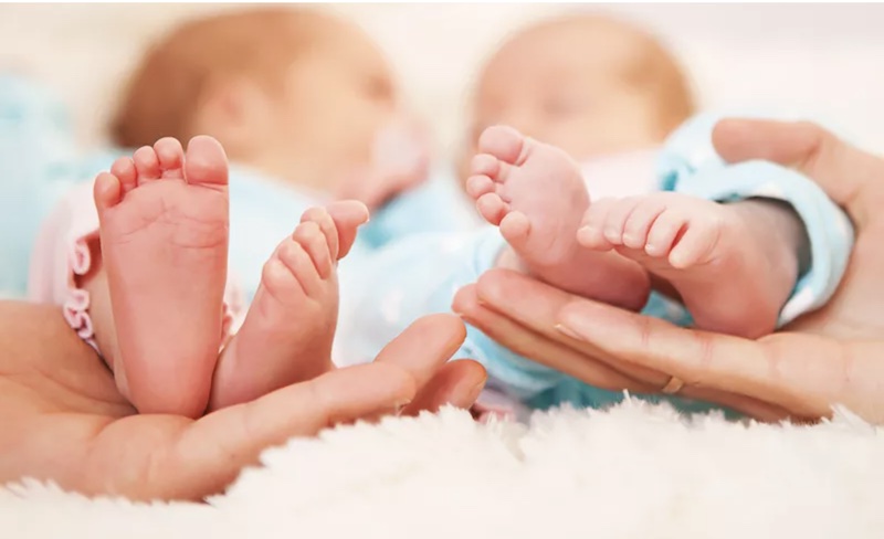 Différences entre vrais et faux jumeaux Différences entre vrais et faux jumeaux