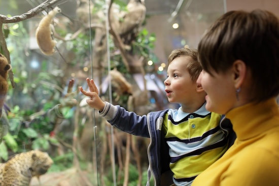 Visiter un musée avec les enfants