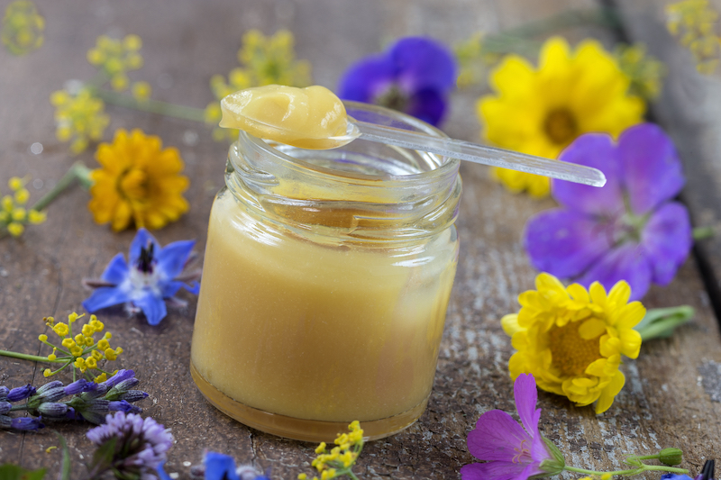 Gelée royagle enceinte Gelée royagle enceinte