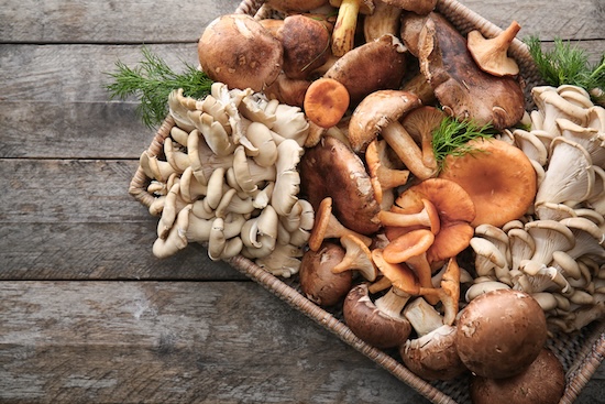 Conseils pour choisir les champignons