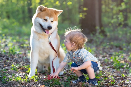 Enfants cristal amis des animaux