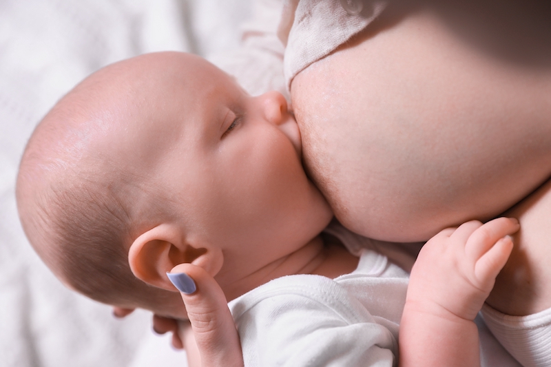 Tubercules de Montgomery Tubercules de Montgomery