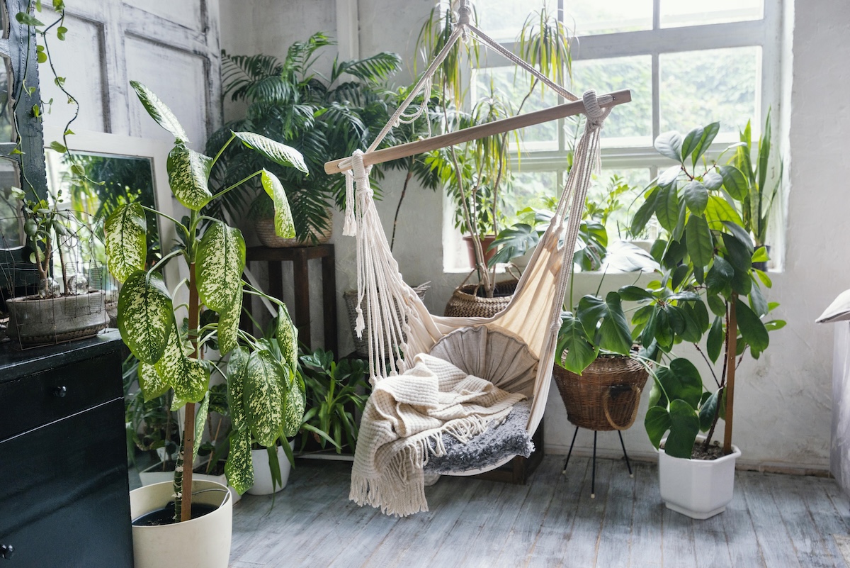13 plantes retombantes d’intérieur pour une déco naturelle et tendance