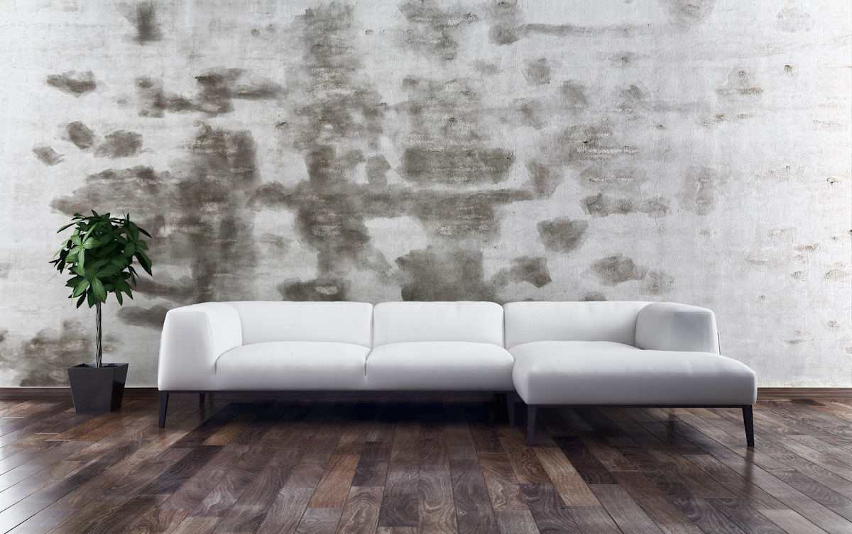 Que mettre sur le mur derrière le canapé ? Que mettre sur le mur derrière le canapé ?