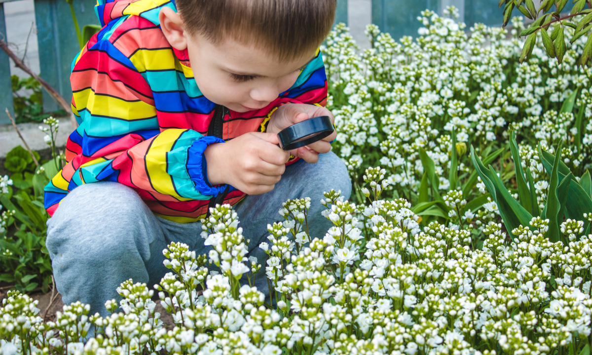 Canicule au jardin : la liste des plantes toxiques à surveiller Canicule au jardin : la liste des plantes toxiques à surveiller