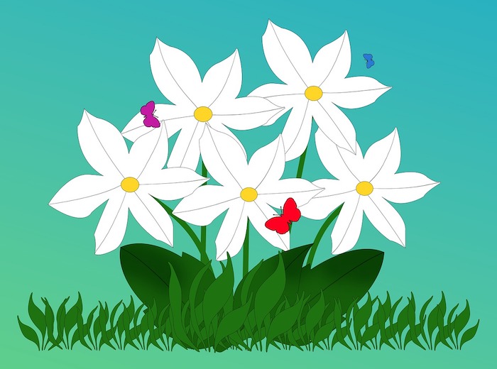 Dessins de fleurs à imprimer Dessins de fleurs à imprimer