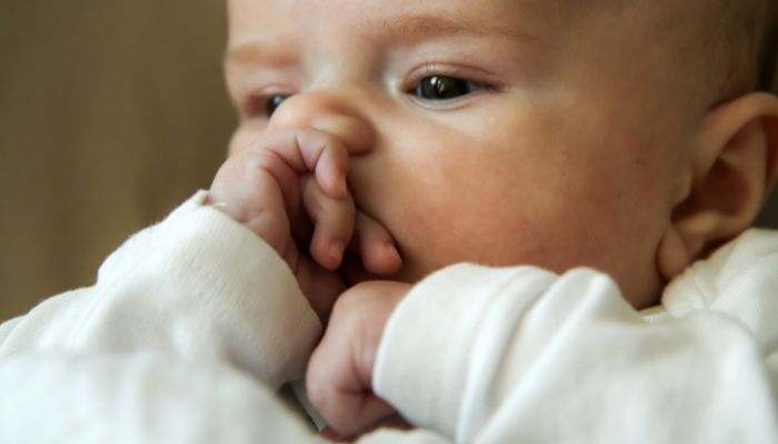 Mon bébé suce son poing Mon bébé suce son poing