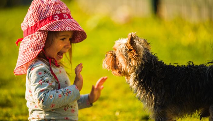 thérapie avec les animaux pour les enfants thérapie avec les animaux pour les enfants