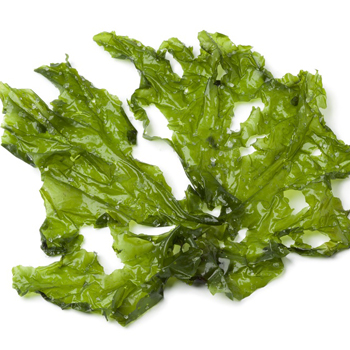 Manger des algues enceinte