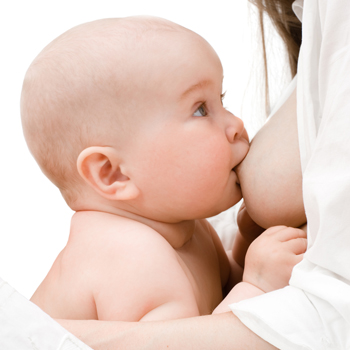 se préparer à l'allaitement pendant la grossesse