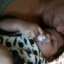 loane 77